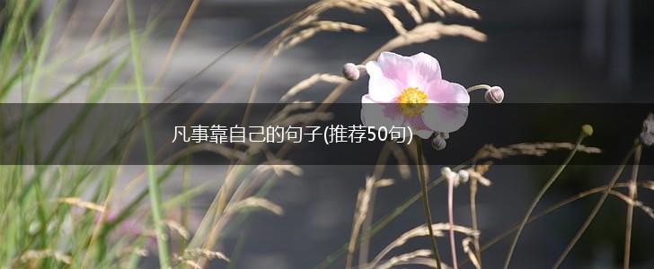 凡事靠自己的句子(推荐50句),第1张
