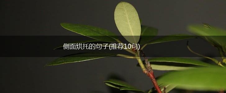 侧面烘托的句子(推荐10句),第1张