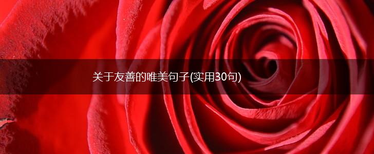 关于友善的唯美句子(实用30句),第1张