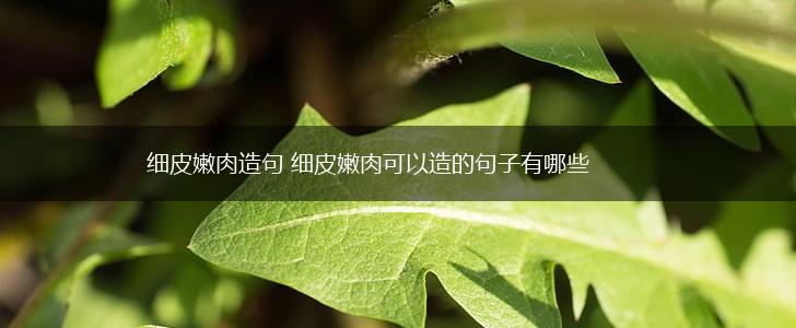 细皮嫩肉造句 细皮嫩肉可以造的句子有哪些,第1张