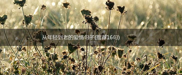 从年轻到老的爱情句子(推荐16句),第1张
