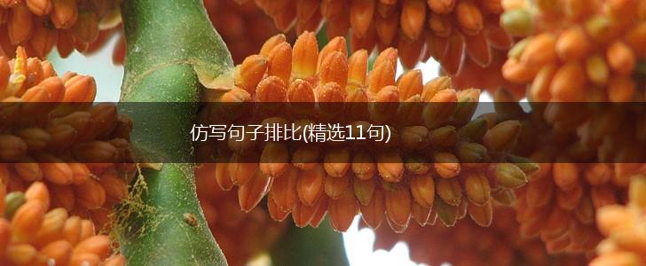 仿写句子排比(精选11句),第1张
