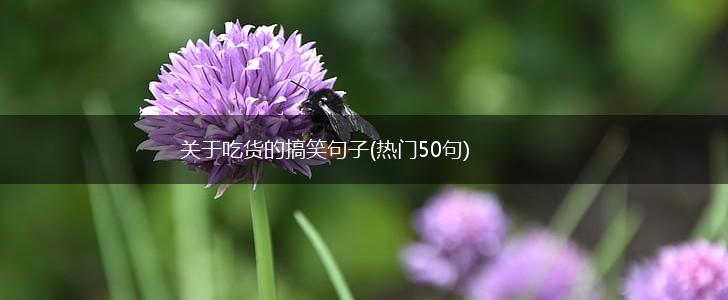 关于吃货的搞笑句子(热门50句),第1张
