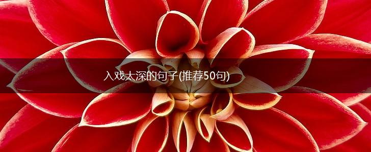 入戏太深的句子(推荐50句),第1张