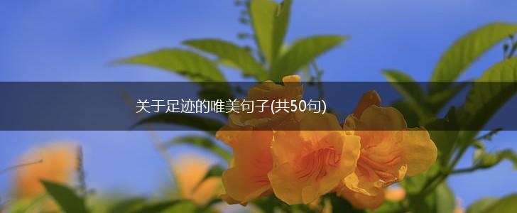 关于足迹的唯美句子(共50句),第1张