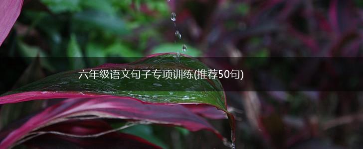 六年级语文句子专项训练(推荐50句),第1张
