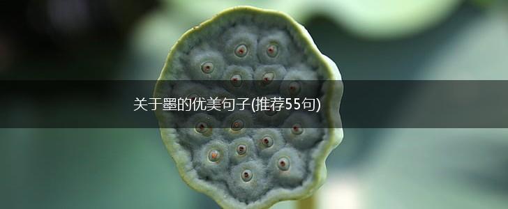 关于墨的优美句子(推荐55句),第1张