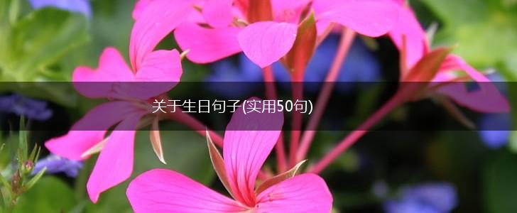 关于生日句子(实用50句),第1张