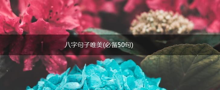 八字句子唯美(必备50句),第1张