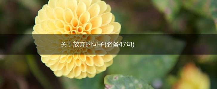 关于放弃的句子(必备47句),第1张