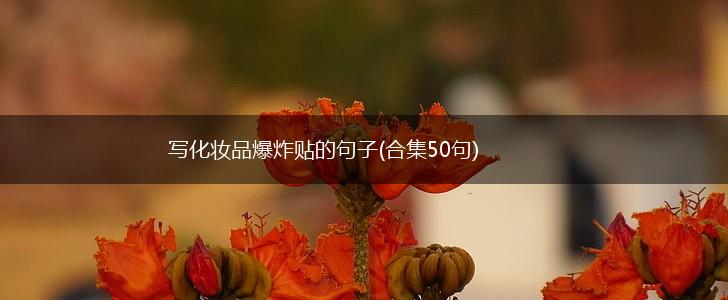 写化妆品爆炸贴的句子(合集50句),第1张