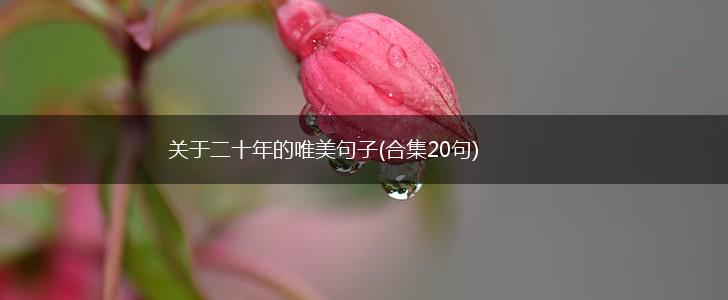 关于二十年的唯美句子(合集20句),第1张