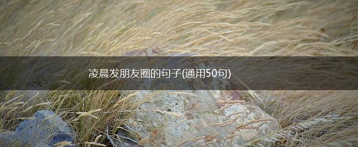 凌晨发朋友圈的句子(通用50句),第1张