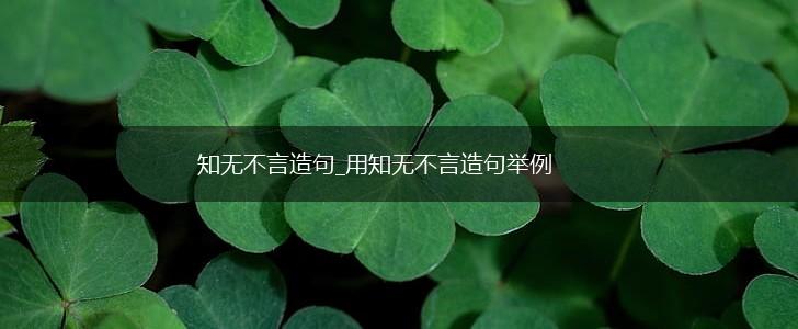 知无不言造句_用知无不言造句举例,第1张