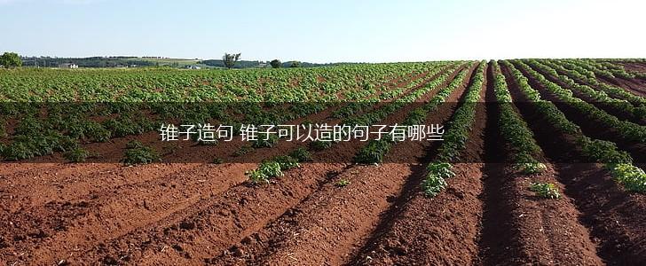 锥子造句 锥子可以造的句子有哪些,第1张