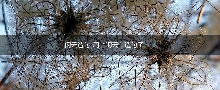 闲云造句_用“闲云”造句子,第1张
