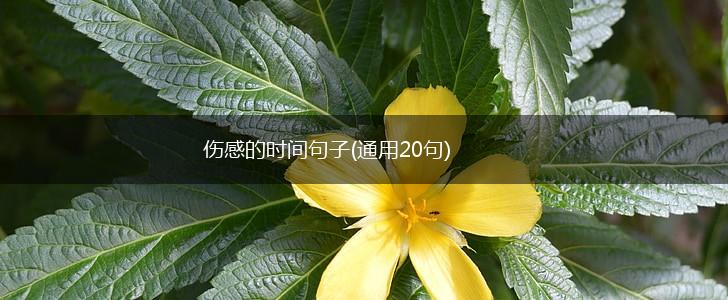 伤感的时间句子(通用20句),第1张
