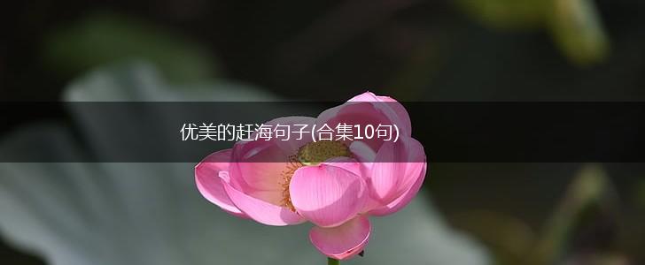 优美的赶海句子(合集10句),第1张