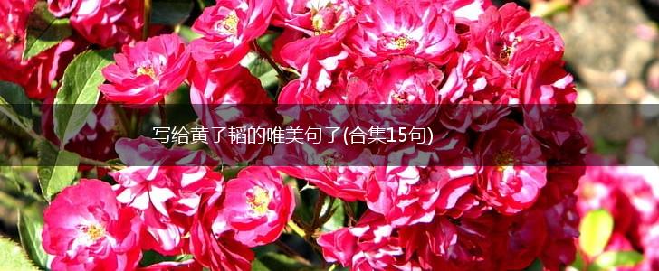 写给黄子韬的唯美句子(合集15句),第1张