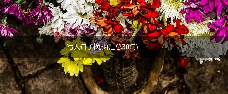 写人句子摘抄(汇总30句),第1张