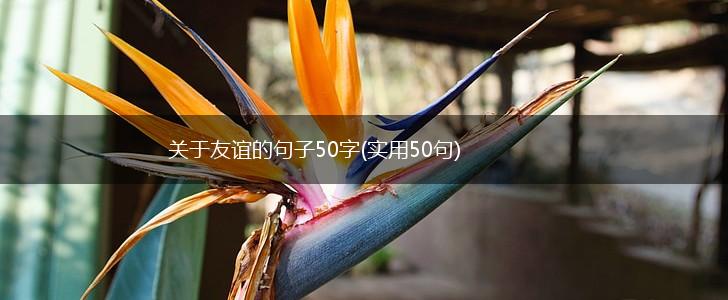 关于友谊的句子50字(实用50句),第1张