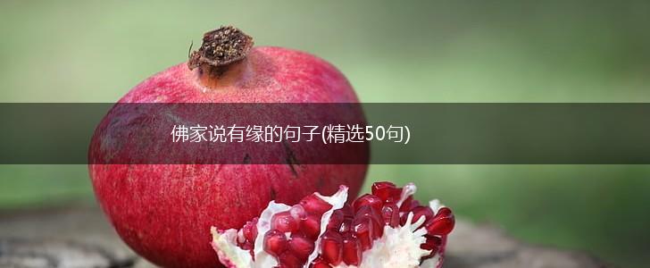 佛家说有缘的句子(精选50句),第1张