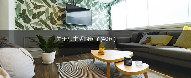关于写生活的句子(40句),第1张