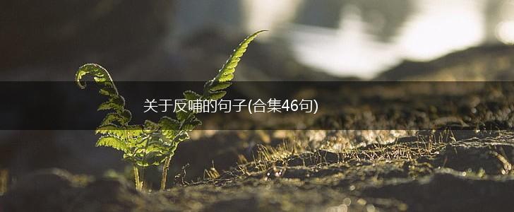 关于反哺的句子(合集46句),第1张