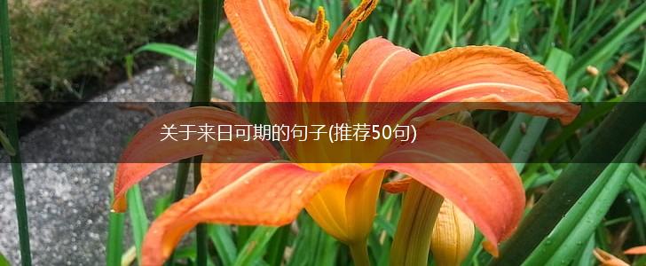 关于来日可期的句子(推荐50句),第1张