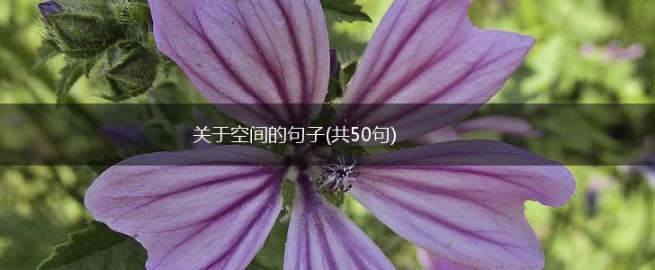 关于空间的句子(共50句),第1张