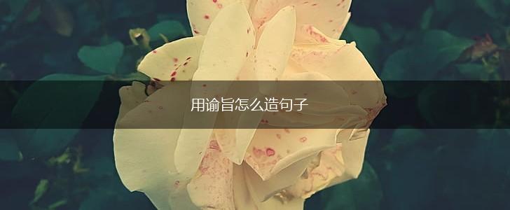 用谕旨怎么造句子,第1张