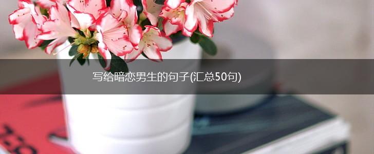 写给暗恋男生的句子(汇总50句),第1张