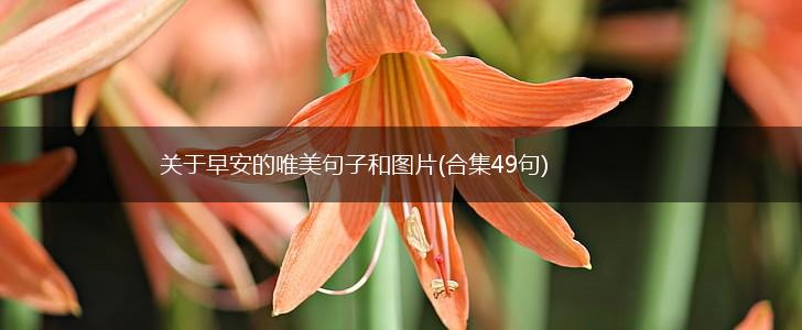关于早安的唯美句子和图片(合集49句),第1张