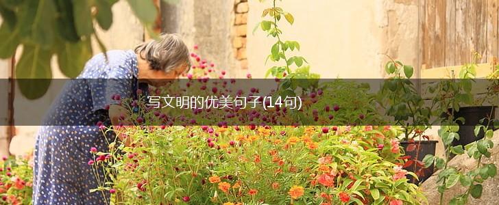 写文明的优美句子(14句),第1张