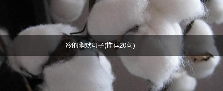 冷的幽默句子(推荐20句),第1张