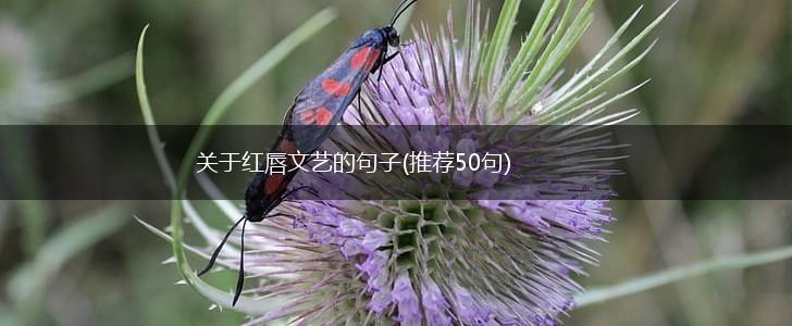 关于红唇文艺的句子(推荐50句),第1张