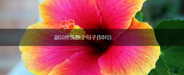 副词修饰整个句子(50句),第1张