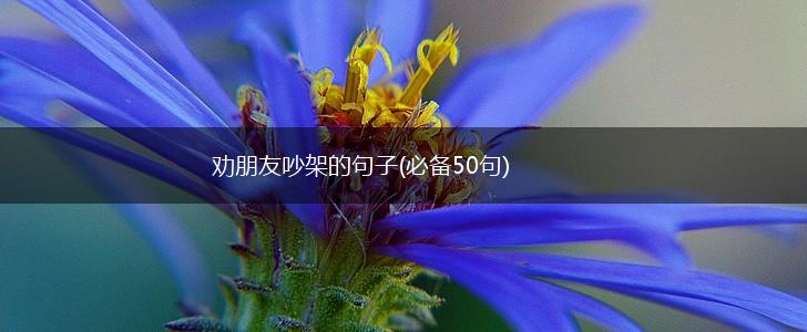 劝朋友吵架的句子(必备50句),第1张