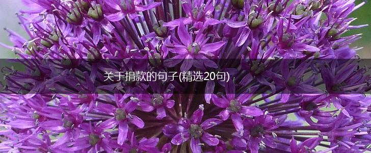 关于捐款的句子(精选20句),第1张