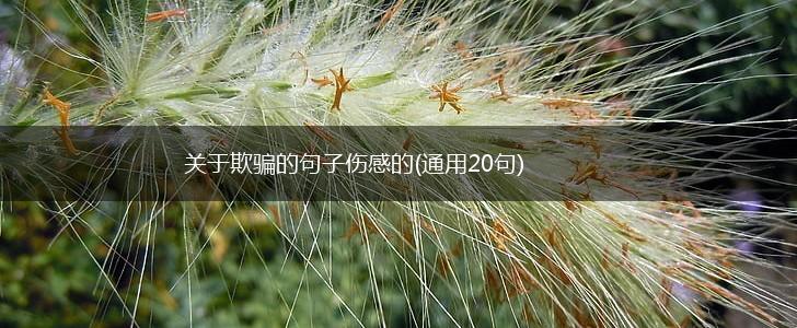 关于欺骗的句子伤感的(通用20句),第1张