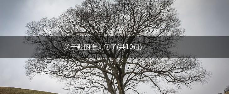关于鞋的唯美句子(共10句),第1张
