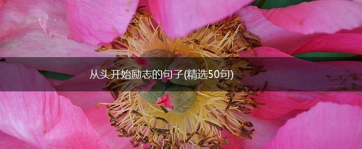 从头开始励志的句子(精选50句),第1张