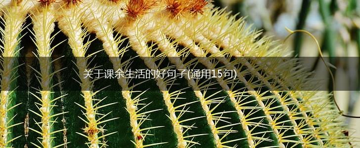 关于课余生活的好句子(通用15句),第1张