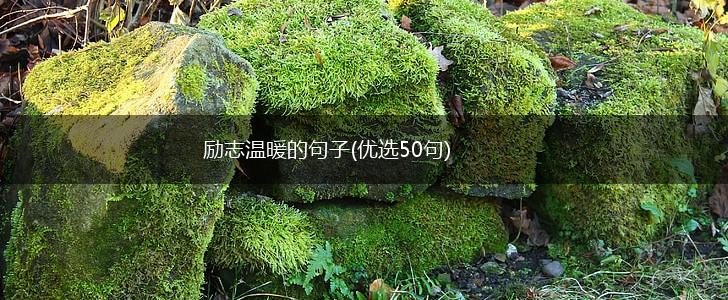 励志温暖的句子(优选50句),第1张
