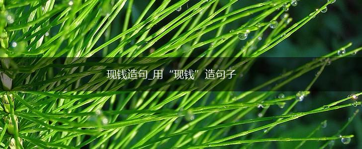 现钱造句_用“现钱”造句子,第1张