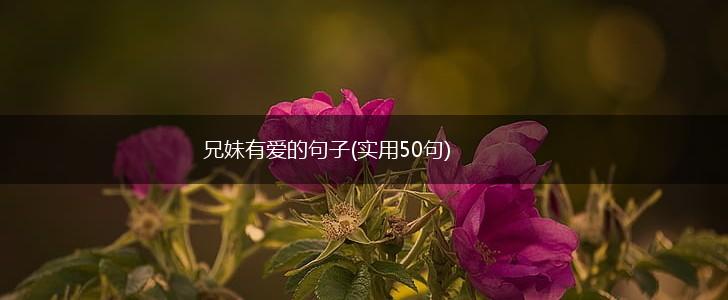 兄妹有爱的句子(实用50句),第1张
