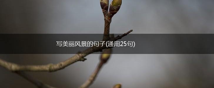写美丽风景的句子(通用25句),第1张
