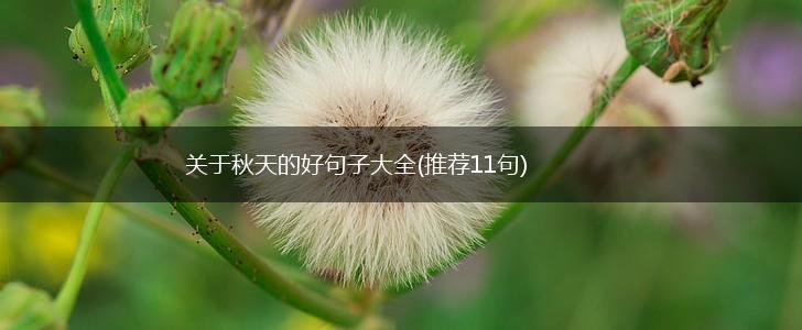 关于秋天的好句子大全(推荐11句),第1张