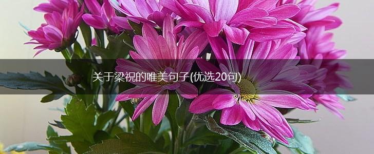 关于梁祝的唯美句子(优选20句),第1张