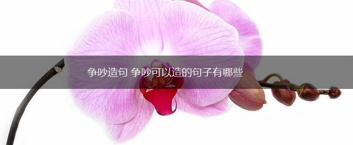 争吵造句 争吵可以造的句子有哪些,第1张